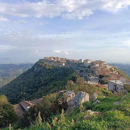 Turistico Patrizia *